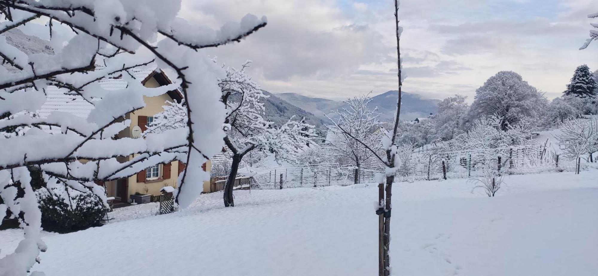 Appartement douillet avec vue sur les montagnes Fouchy Extérieur photo