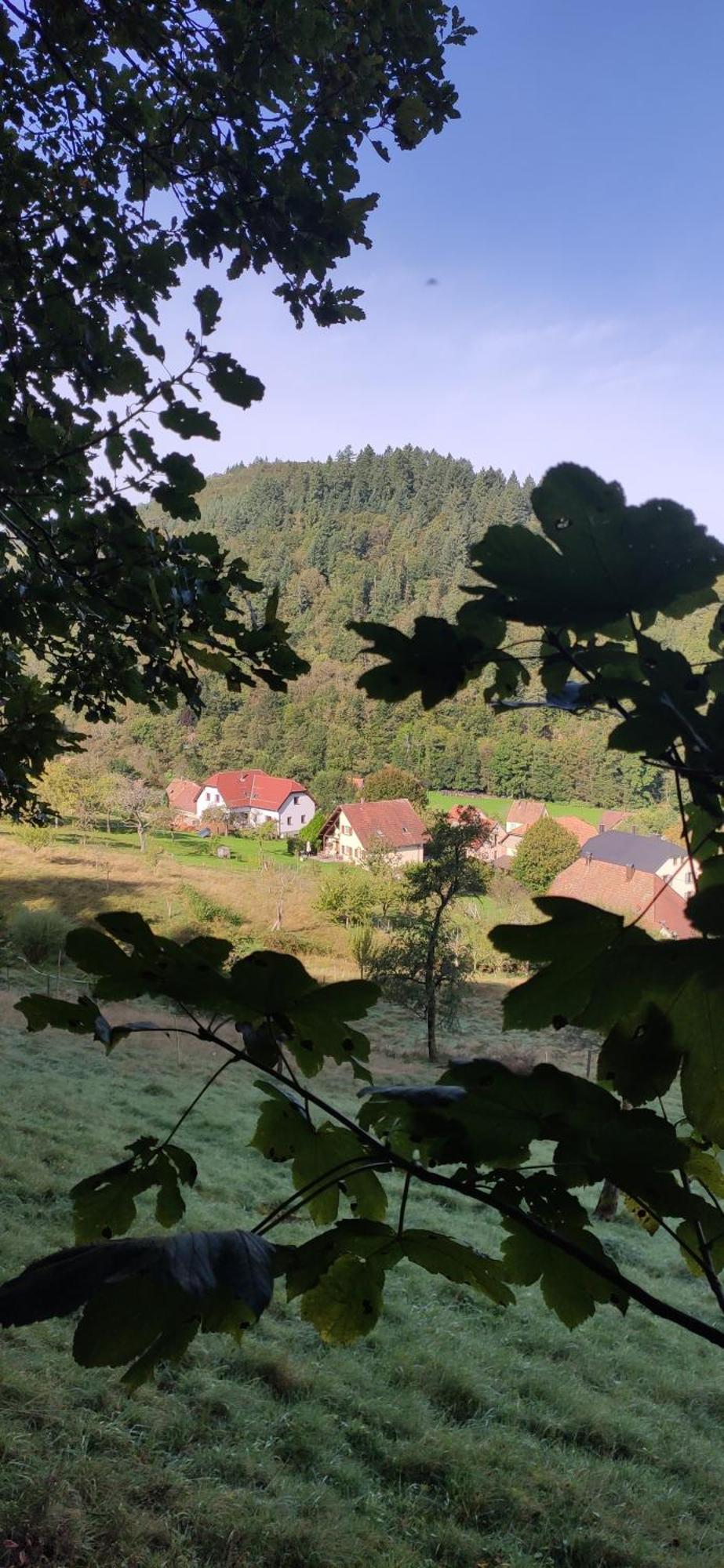 Appartement douillet avec vue sur les montagnes Fouchy Extérieur photo